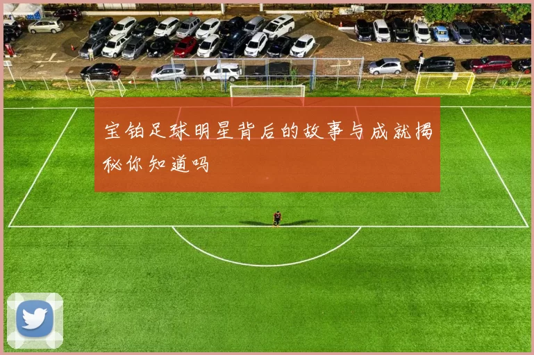 宝铂足球明星背后的故事与成就揭秘你知道吗