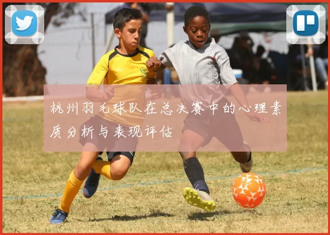 杭州羽毛球队在总决赛中的心理素质分析与表现评估