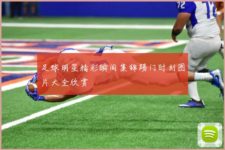 足球明星精彩瞬间集锦踢门时刻图片大全欣赏