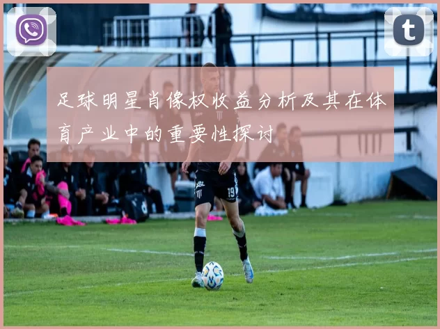 足球明星肖像权收益分析及其在体育产业中的重要性探讨