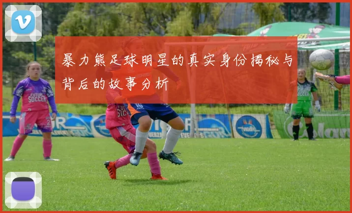 暴力熊足球明星的真实身份揭秘与背后的故事分析