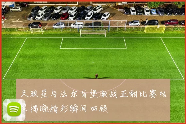天狼星与法尔肯堡激战正酣比赛结果揭晓精彩瞬间回顾