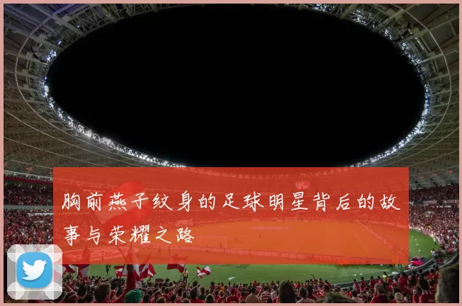 胸前燕子纹身的足球明星背后的故事与荣耀之路