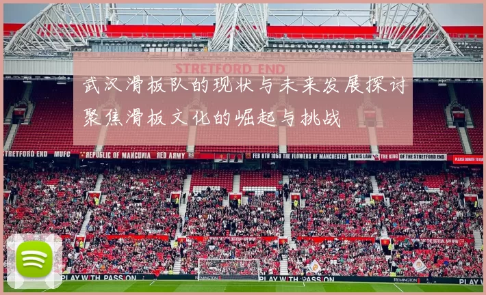 武汉滑板队的现状与未来发展探讨聚焦滑板文化的崛起与挑战