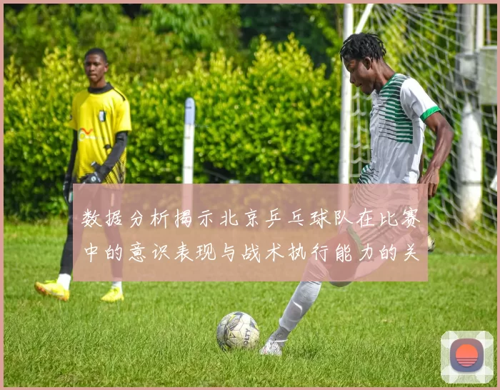 数据分析揭示北京乒乓球队在比赛中的意识表现与战术执行能力的关系