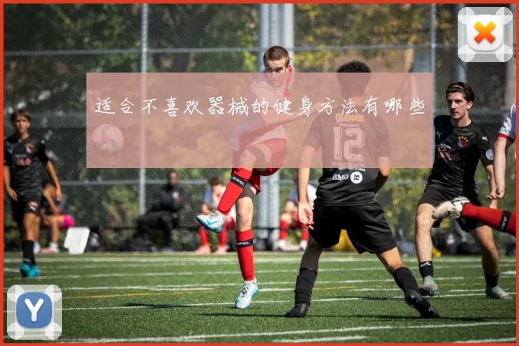适合不喜欢器械的健身方法有哪些