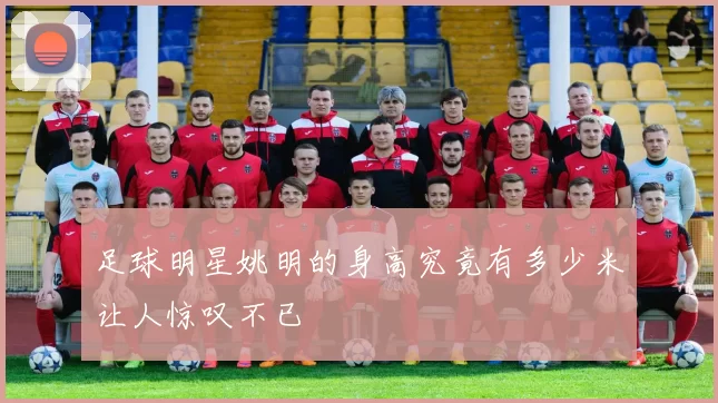 足球明星姚明的身高究竟有多少米让人惊叹不已