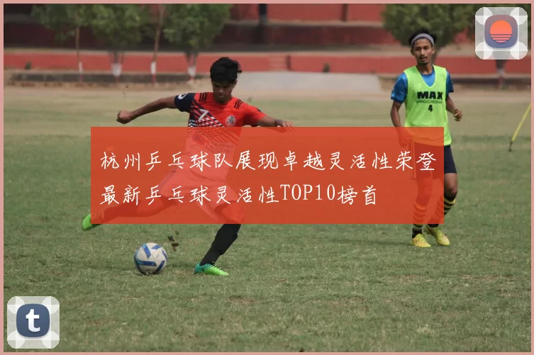 杭州乒乓球队展现卓越灵活性荣登最新乒乓球灵活性TOP10榜首