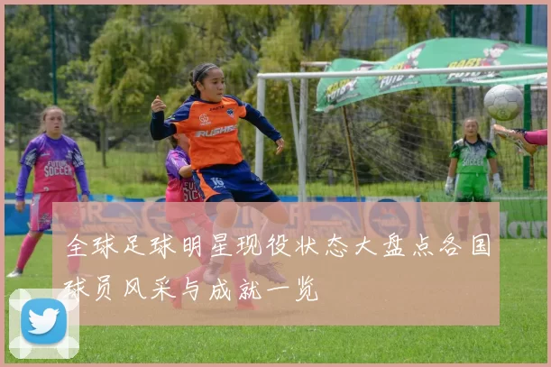 全球足球明星现役状态大盘点各国球员风采与成就一览