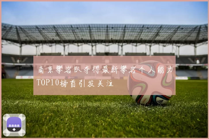 南京攀岩队夺得最新攀岩个人能力TOP10榜首引发关注