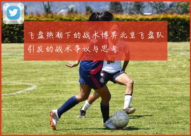 飞盘热潮下的战术博弈北京飞盘队引发的战术争议与思考