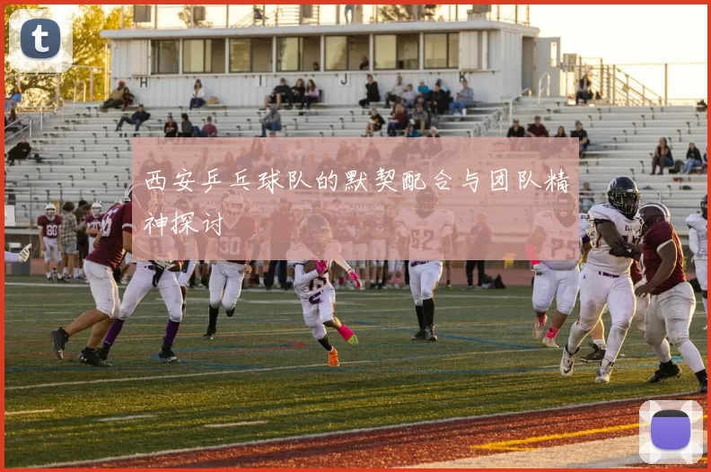 西安乒乓球队的默契配合与团队精神探讨