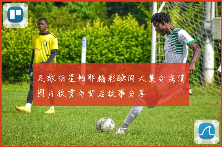 足球明星帕耶精彩瞬间大集合高清图片欣赏与背后故事分享