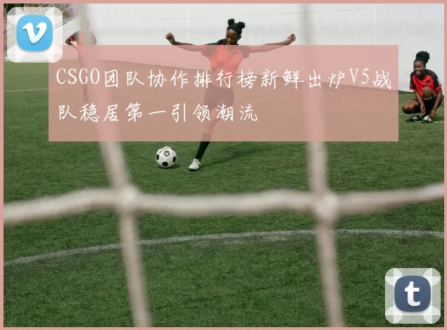 CSGO团队协作排行榜新鲜出炉V5战队稳居第一引领潮流